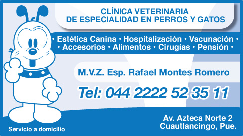 Clnica veterinaria de Especialidad en Perros y Gatos